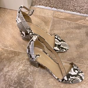Chinese Laundry snake skin heels